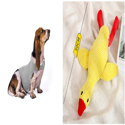 Chaleco Calmante para Mascotas - Ropa Terapéutica Antiansíedad para Gatos y Perros - Image 12