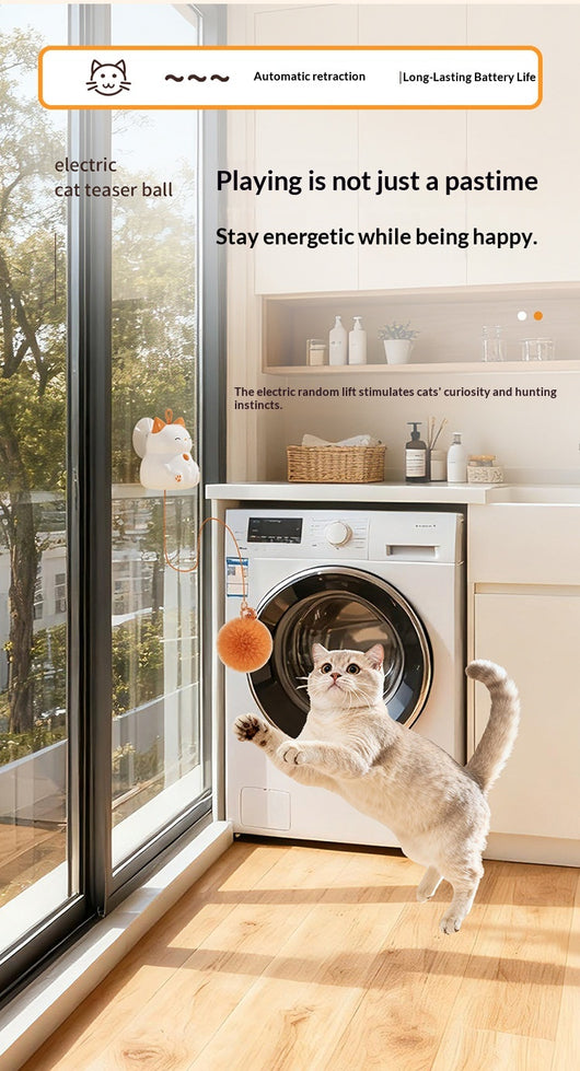 Juguete Interactivo Automático para Gatos - Bola Inteligente de Entretenimiento - Image 14
