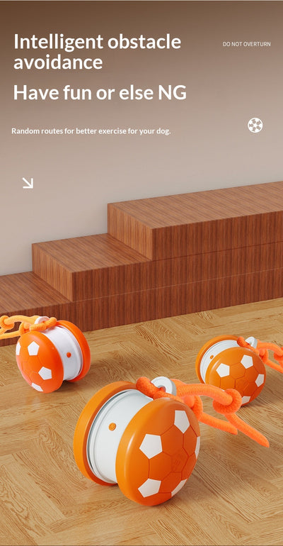 Juguete Interactivo Eléctrico para Gatos y Perros - Bola Autojugable - Image 17