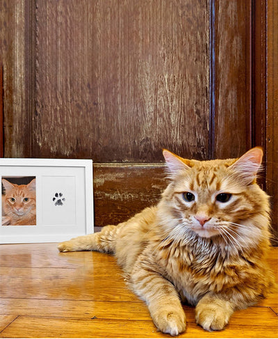 Álbum de Huellas Dactilares para Mascotas y Niños - Tarjetas DIY Memorables - Image 14
