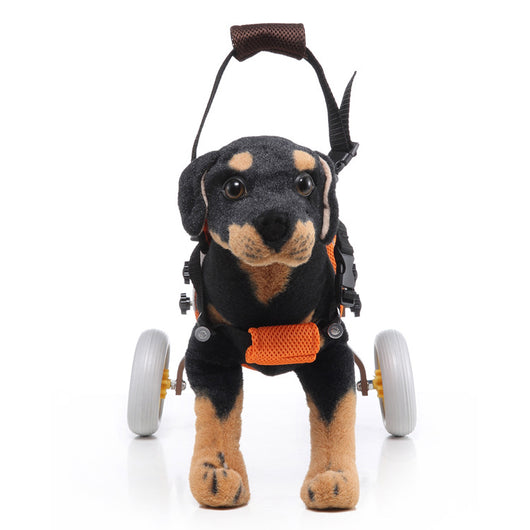 Silla de Ruedas para Perros - Scooter de Movilidad Canina - Image 5