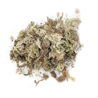 Musgo Estéril Deshidratado Premium - Image 8