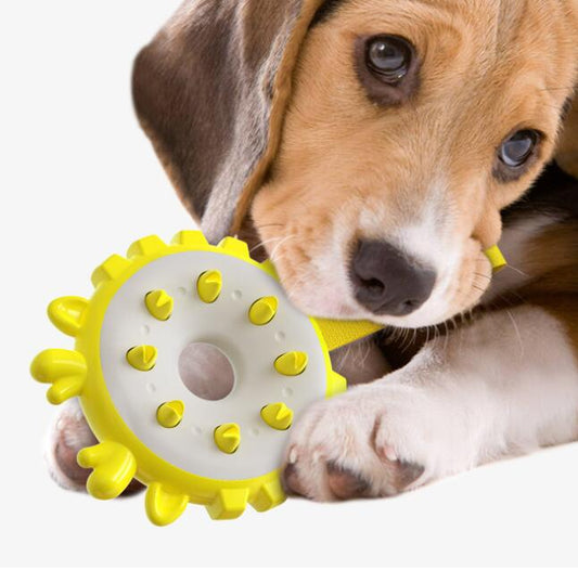 Anillo Mordedor de Entrenamiento con Molares y Cepillo Dental para Perros