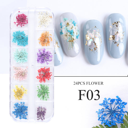 Kit de Flores Secas para Decoración de Uñas - 12 Compartimentos con Margaritas y Flores Silvestres Reales - Image 2