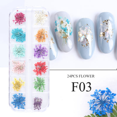 Kit de Flores Secas para Decoración de Uñas - 12 Compartimentos con Margaritas y Flores Silvestres Reales - Image 2