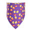 Calabaza Con Fondo Morado Bufanda 20 A 46 Cm
