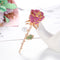 Broche Floral de Aleación con Diamantes y Perlas