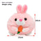 Radish Rabbit USB