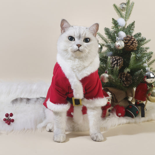 Ropa Navideña para Mascotas: Abrigos y Suéteres para Perros y Gatos