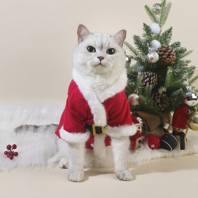 Ropa Navideña para Mascotas: Abrigos y Suéteres para Perros y Gatos