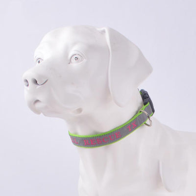 Collar Reflectante para Perro con Nombre Personalizado Bordado - Image 11