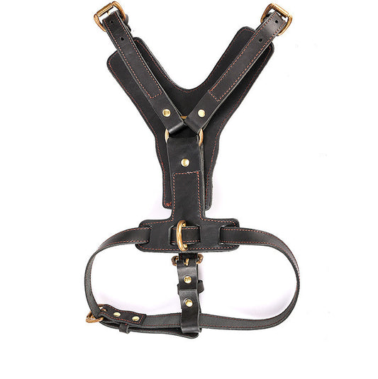 Arnés de Pecho con Cuerda Automática para Perros - Set Completo de Tracción - Image 2