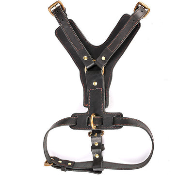 Arnés de Pecho con Cuerda Automática para Perros - Set Completo de Tracción - Image 2