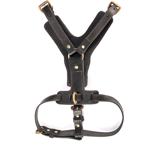 Arnés de Pecho con Cuerda Automática para Perros - Set Completo de Tracción - Image 2
