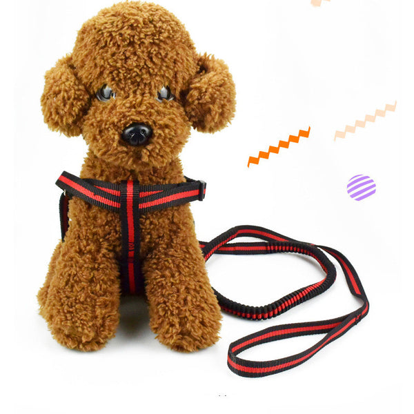 Correa Extensible Elástica para Mascotas con Control de Tracción