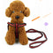 Correa Extensible Elástica para Mascotas con Control de Tracción