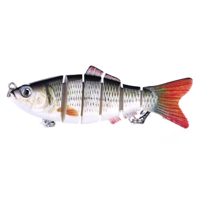 Peces Carnada Premium - Image 20