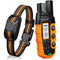 R1 Orange