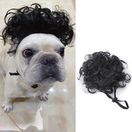 Peluca Disfraz para Mascotas - Halloween y Navidad - Image 2