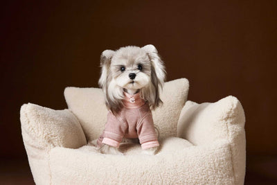 Ropa para Perros Teddy Schnauzer Bichon Bicolor Cómoda - Image 54