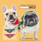 Pañuelo Triangular Estilo Campestre para Perros y Gatos