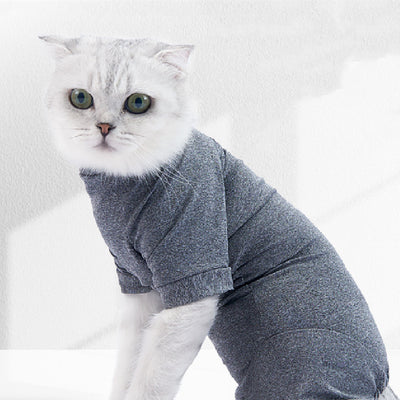 Ropa de Recuperación Personalizada para Gatos Esterilizados - Image 4
