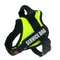 Fluorescent Green L