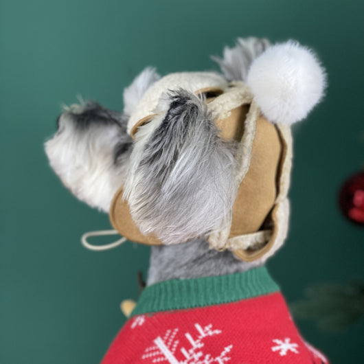 Gorro Cálido para Mascotas - Diseño Schnauzer y Teddy - Image 3