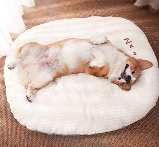 Colchoneta Ortopédica para Perros - Cama Cómoda Antideslizante - Image 7