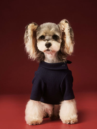 Ropa Térmica para Perros - Abrigo Waffle Otoño e Invierno - Image 10