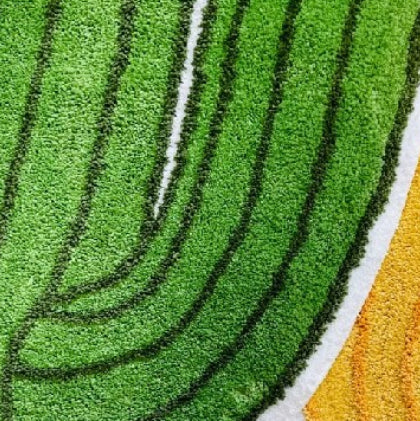 Alfombra Cactus Antideslizante Resistente al Desgaste y Suciedad - Image 4