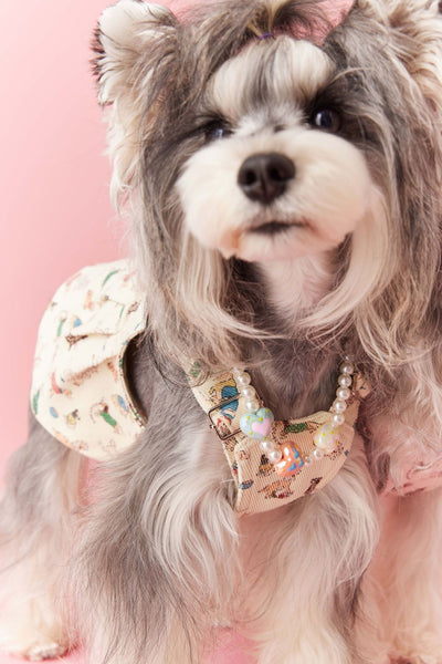 Falda Denim con Tirantes para Perros Pequeños Schnauzer y Maltés - Image 12