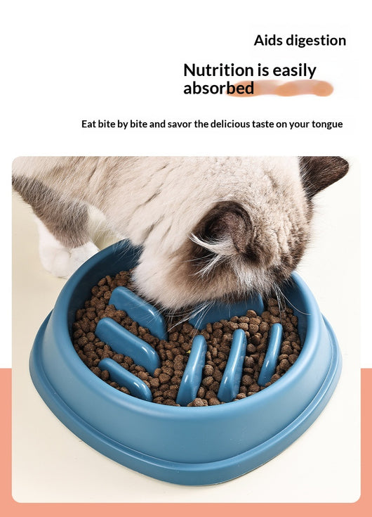Comedero Lento Antiahogo para Perros y Gatos - Gran Capacidad - Image 8