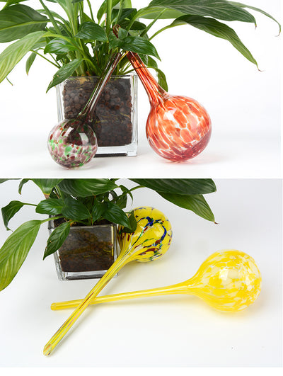 Regadera Automática de Esfera de Cristal para Plantas - Image 8