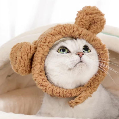 Gorro Disfraz de Osito Cálido para Gatos y Mascotas Pequeñas - Image 3