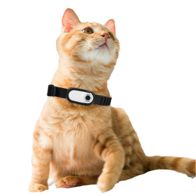 Cámara para Collar de Mascotas - Captura la Aventura de tu Gato - Image 5