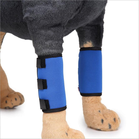 Protector de Pata para Perros - Soporte Ortopédico Ajustable - Image 3