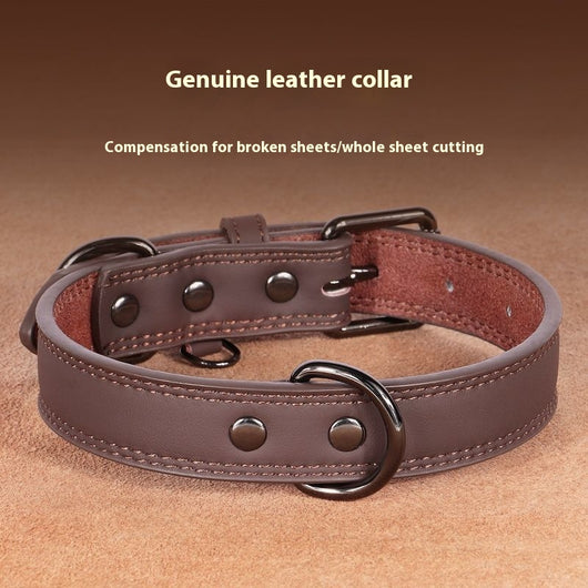 Teal leather pet collar with white stitching, dark metal buckle, and D-ring, displayed on a brown surface.