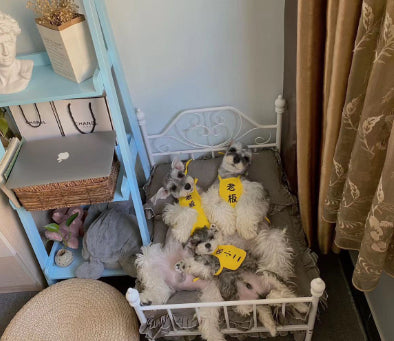 Cama Colgante para Mascotas - Hamaca Confortable para Perros y Gatos - Image 21