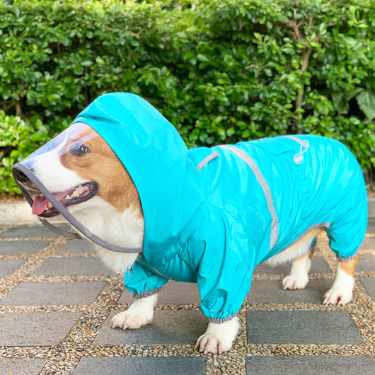 Impermeable para Perros de Cuatro Patas - Protección Waterproof - Image 8