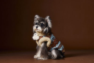 Chaleco Fair Isle para Mascotas Schnauzer Bichon Teddy - Image 6