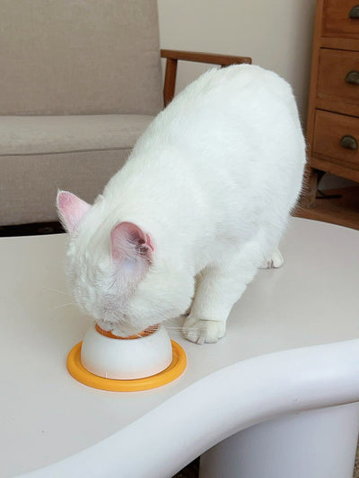 Juguete Comedero Antiderrame para Gatos - Dispensador de Premios Resistente - Image 13