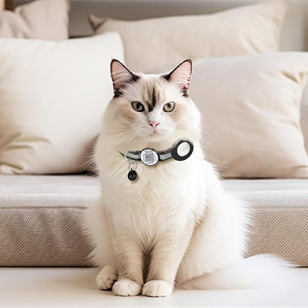 Collar Inteligente con Código QR Anti-pérdida para Mascotas