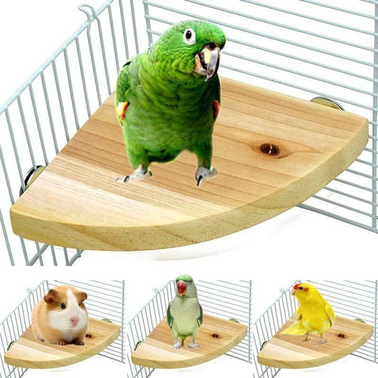Semicircular solid wood bird cage platform with metal wingnut fasteners, designed for perching and playing. - Image 14