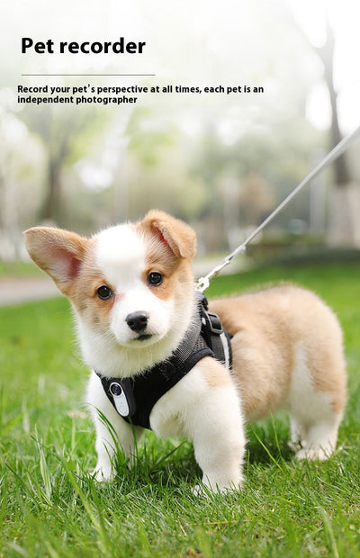 Cámara Mini HD para Mascotas con Montaje Magnético - Deportes y Exterior - Image 11
