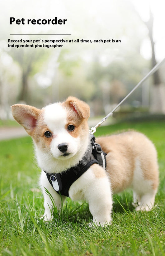 Cámara Mini HD para Mascotas con Montaje Magnético - Deportes y Exterior - Image 11
