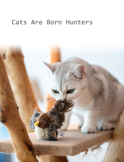 Silver tabby cat playing with a plush bird toy featuring brown and patterned feathers, a brown head, and a yellow beak. - Image 7