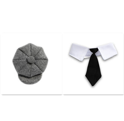 Boina y Corbata para Gato - Accesorios Fotográficos de Estilo Gentleman - Image 8