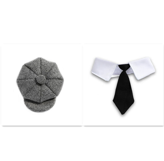 Boina y Corbata para Gato - Accesorios Fotográficos de Estilo Gentleman - Image 8