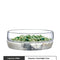 Cooling Snack Dish 600 Ml